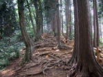 ２０００～２００４年高尾山