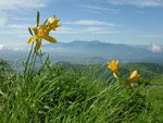 ２００８～９年車山・霧ヶ峰・川上村・高尾山