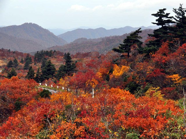 栗駒の紅葉　ｊｎ１ｖｂｙ　