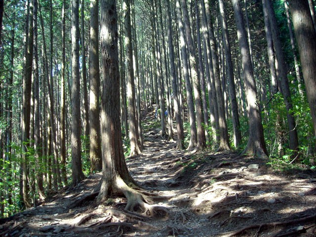 jn1vby 高橋整骨治療院
