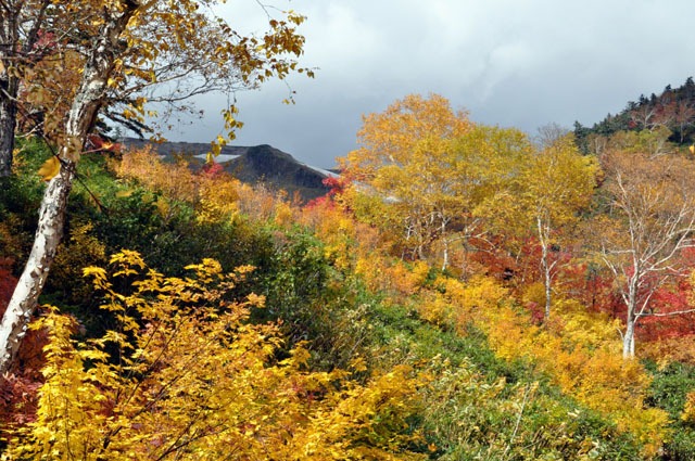 ｊｎ１ｖｂｙ北海道の秋