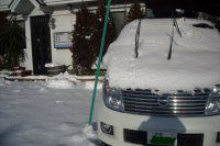 大雪の正月